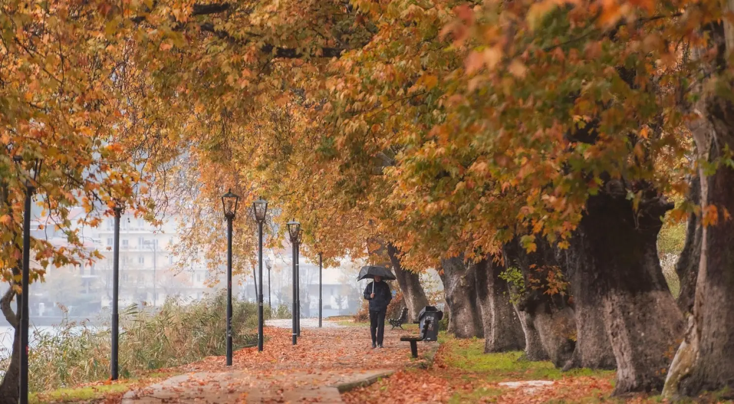 Franchise et primes : ce qu'il faut préparer en cette mi-automne